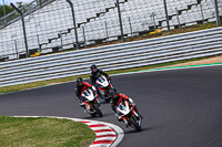 brands-hatch-photographs;brands-no-limits-trackday;cadwell-trackday-photographs;enduro-digital-images;event-digital-images;eventdigitalimages;no-limits-trackdays;peter-wileman-photography;racing-digital-images;trackday-digital-images;trackday-photos